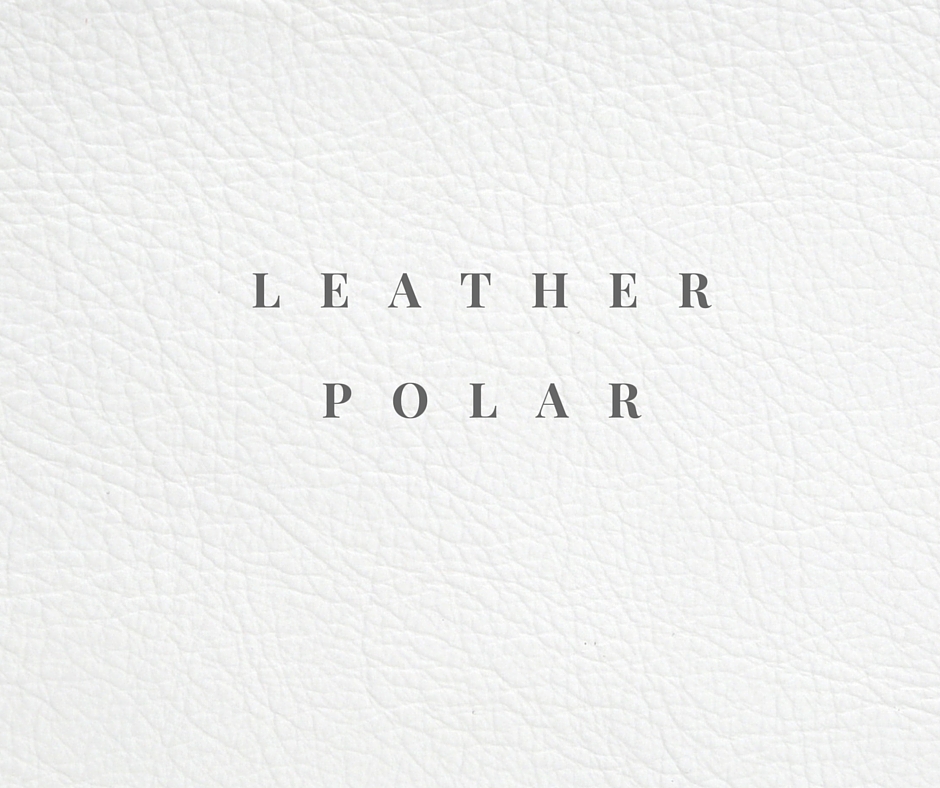 Leather- POLAR.jpg