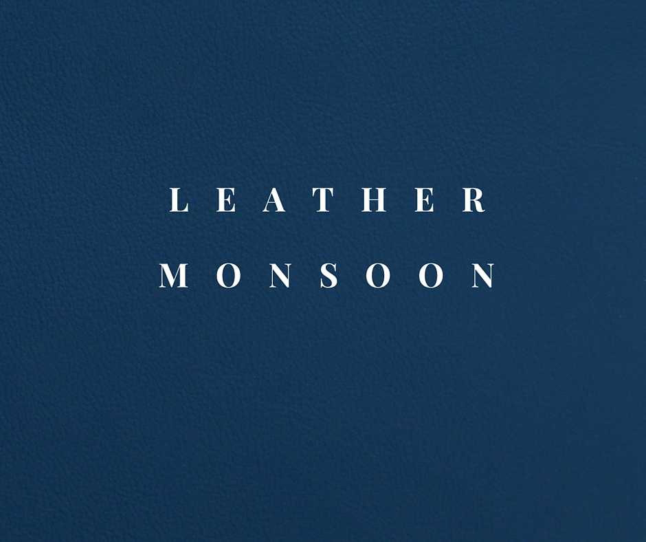 Leather MONSOON.jpg